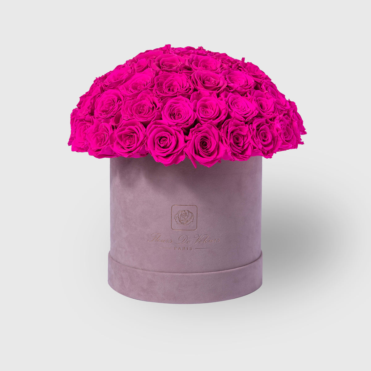 Fleurs de Velours - Entire Dome PINK