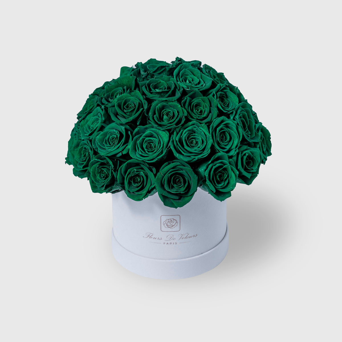 Fleurs de Velours - Entire Dome  Present