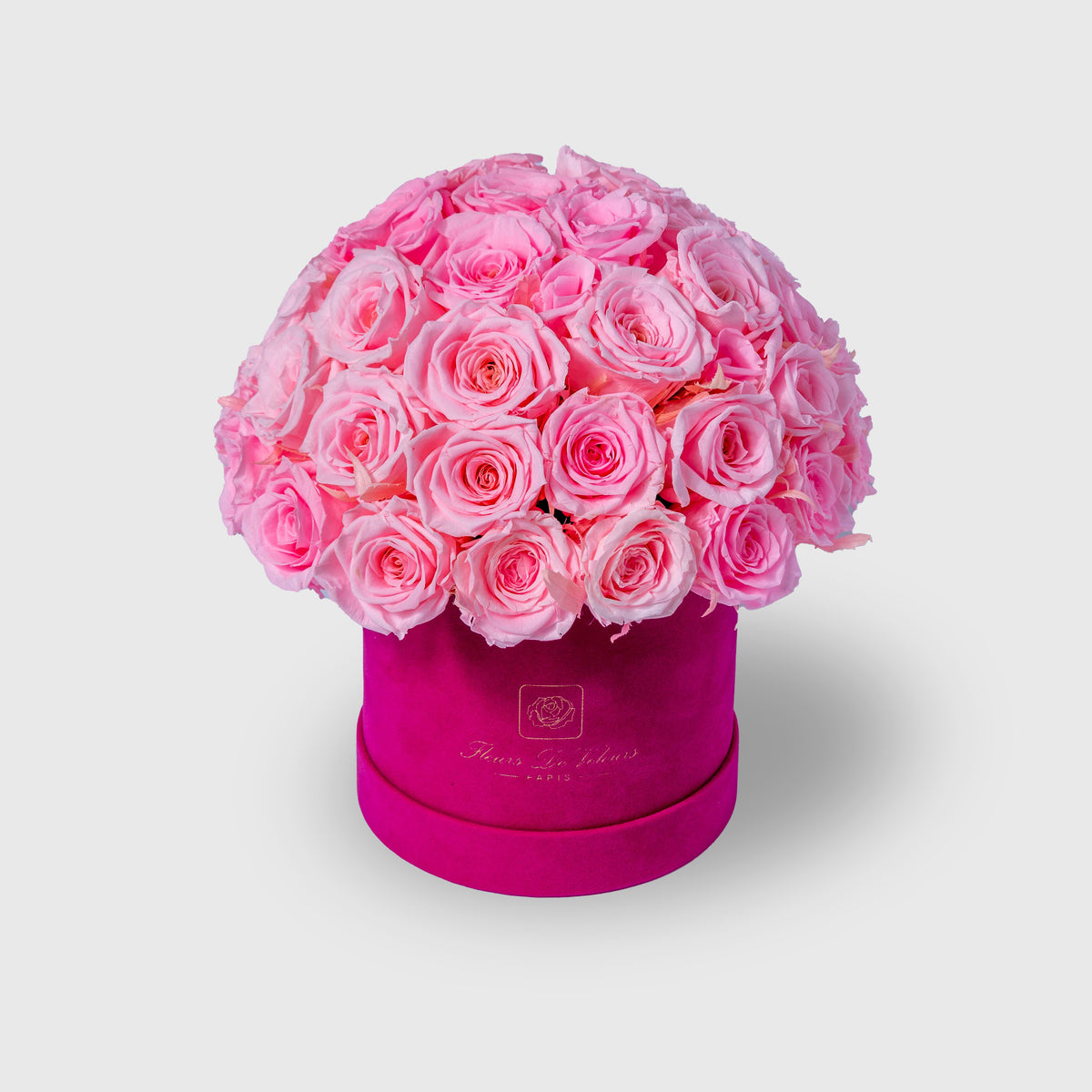 Fleurs de Velours - Entire Dome PINK