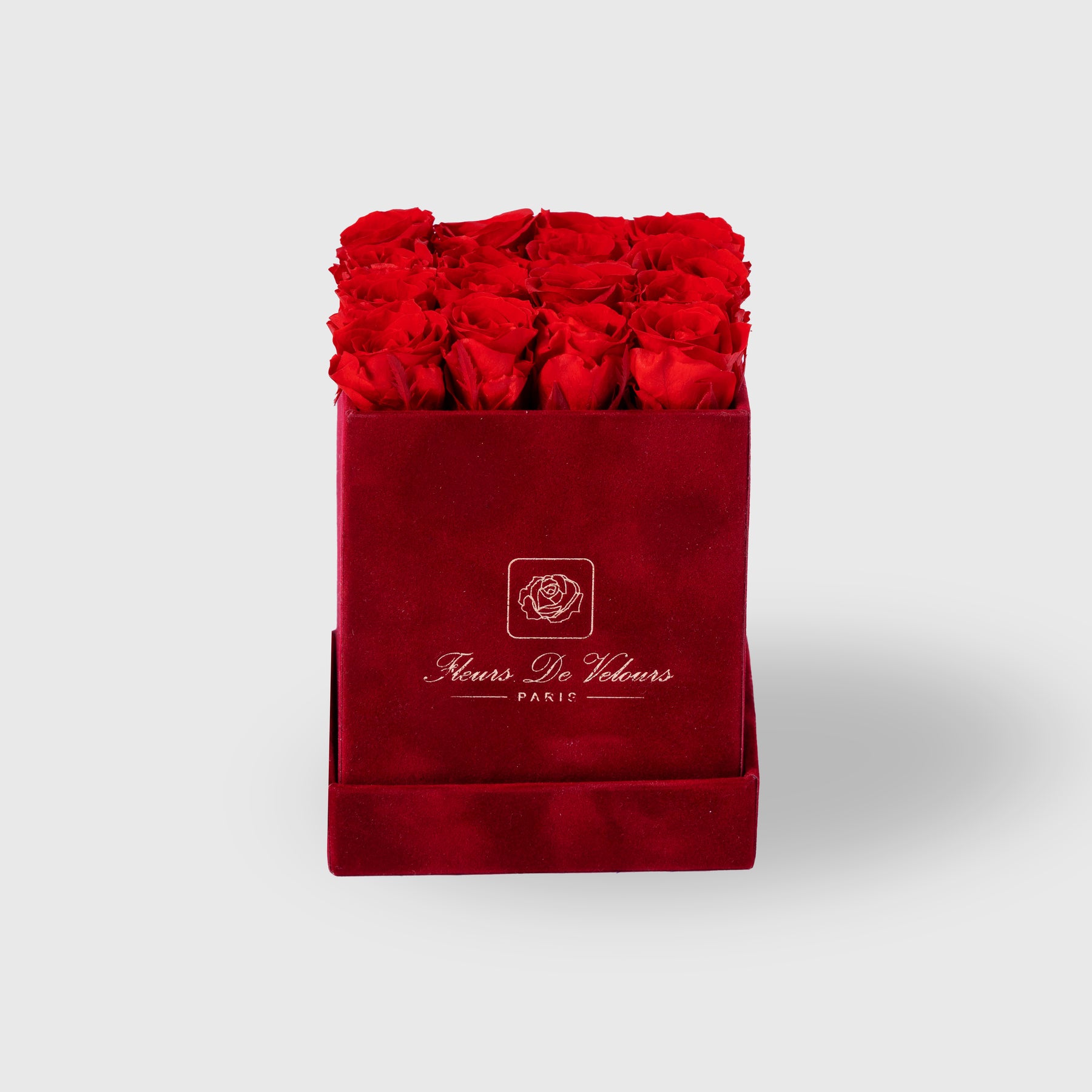 Fleurs de Velours - Spirit Baby Roses