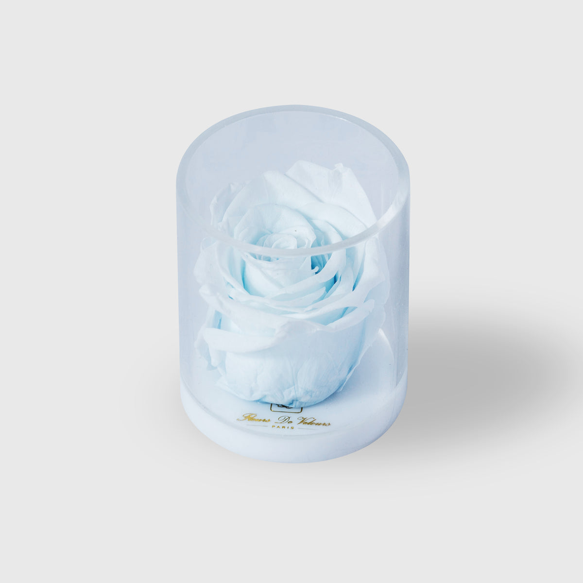 Fleurs De Velours - Spark