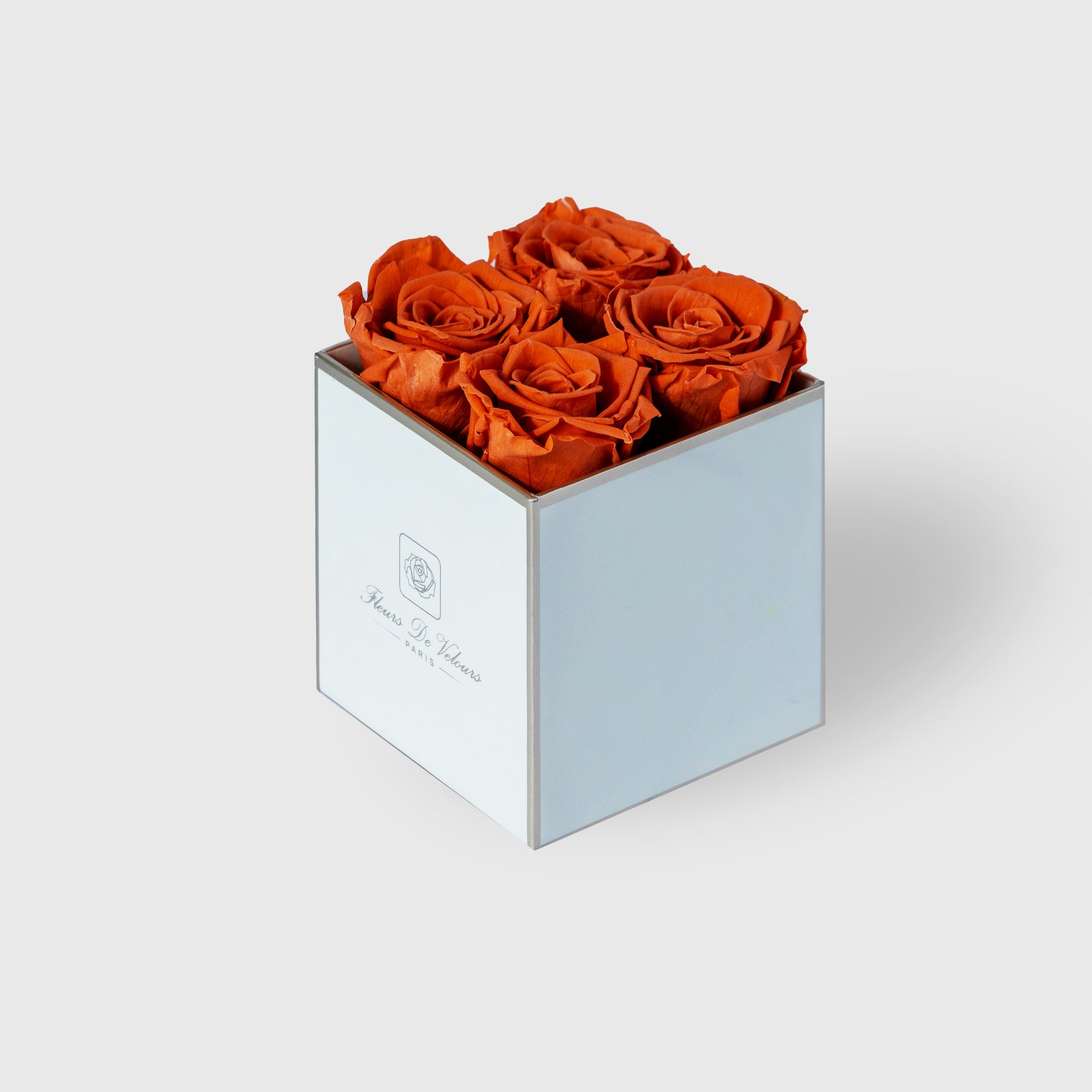 Fleurs De Velours - Elegant Pieces White