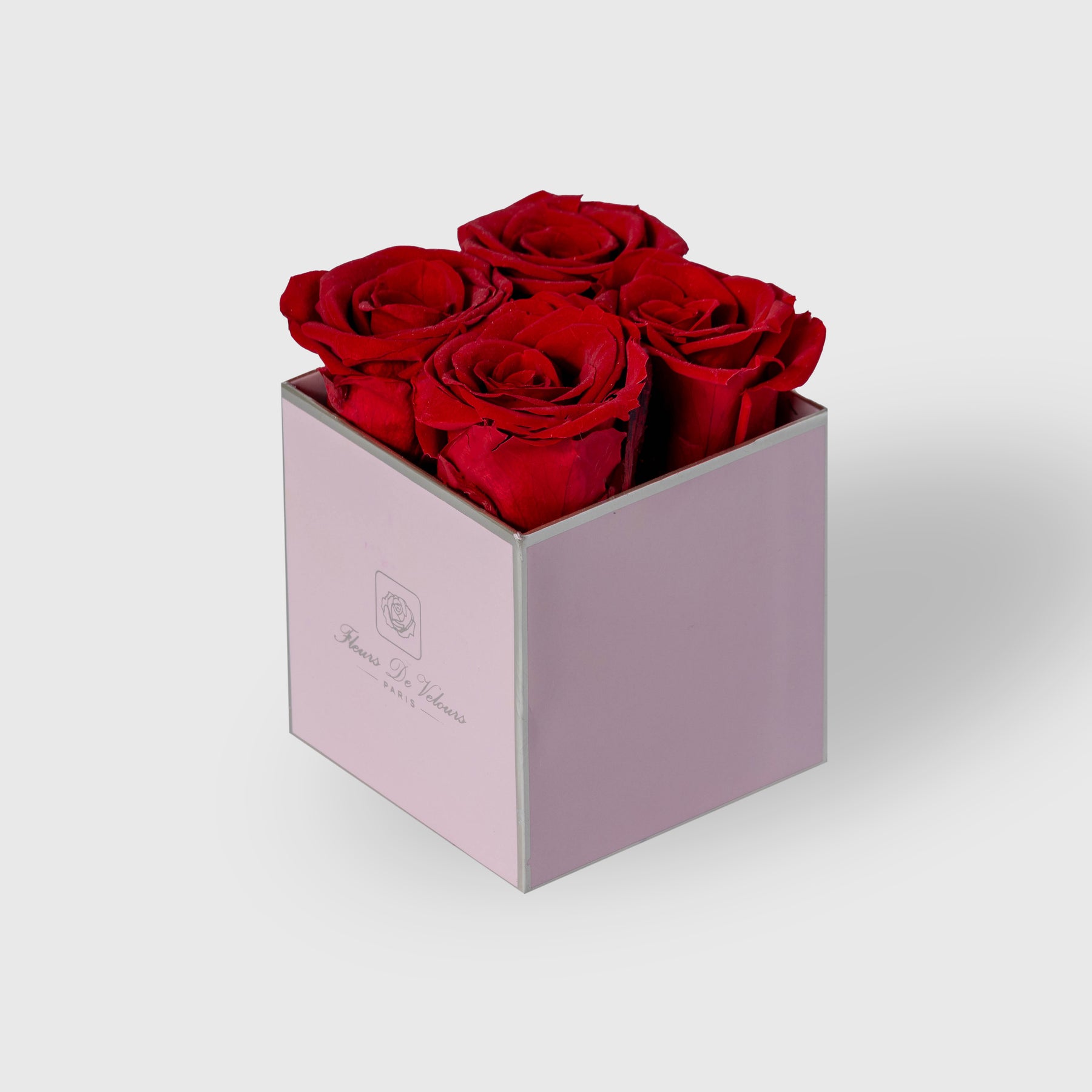 Fleurs De Velours - Elegant Pieces Pink