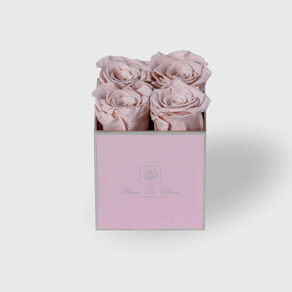 Fleurs De Velours - Elegant Pieces Pink