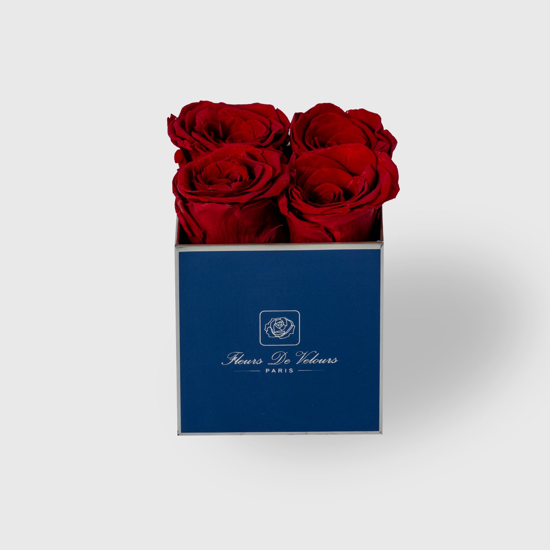 Fleurs De Velours - Elegant Pieces Navy