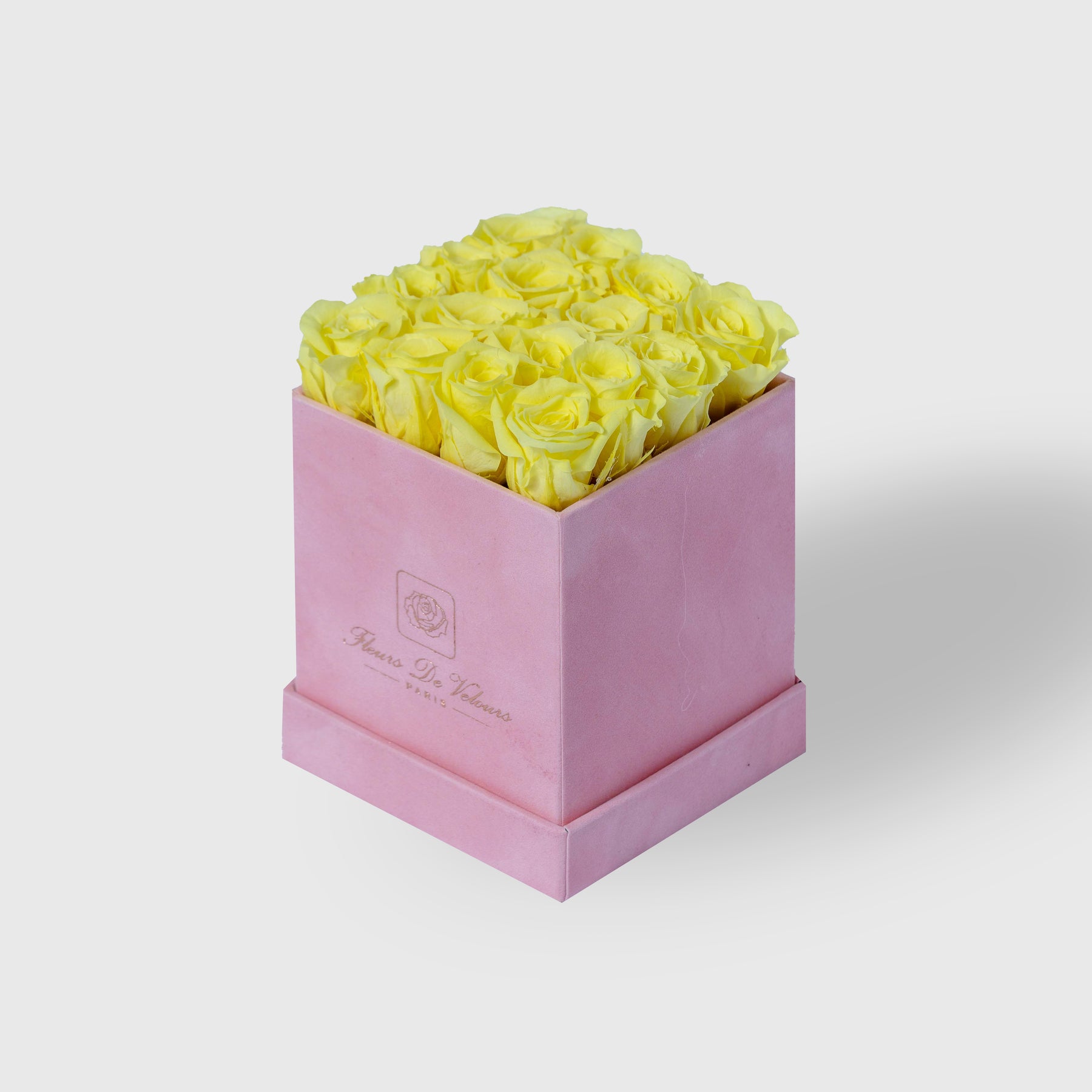 Fleurs de Velours - Spirit Baby Roses