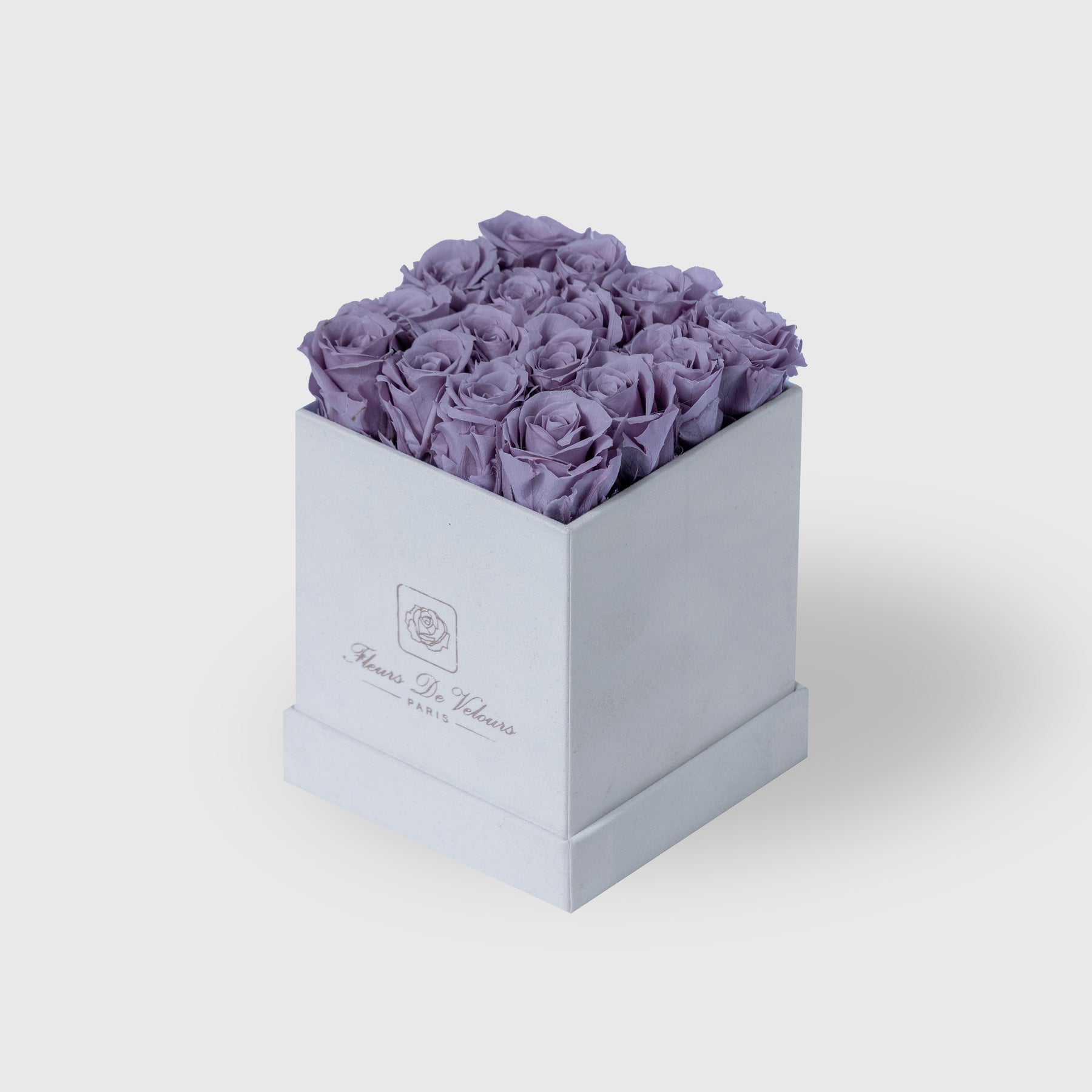 Fleurs de Velours - Spirit Baby Roses