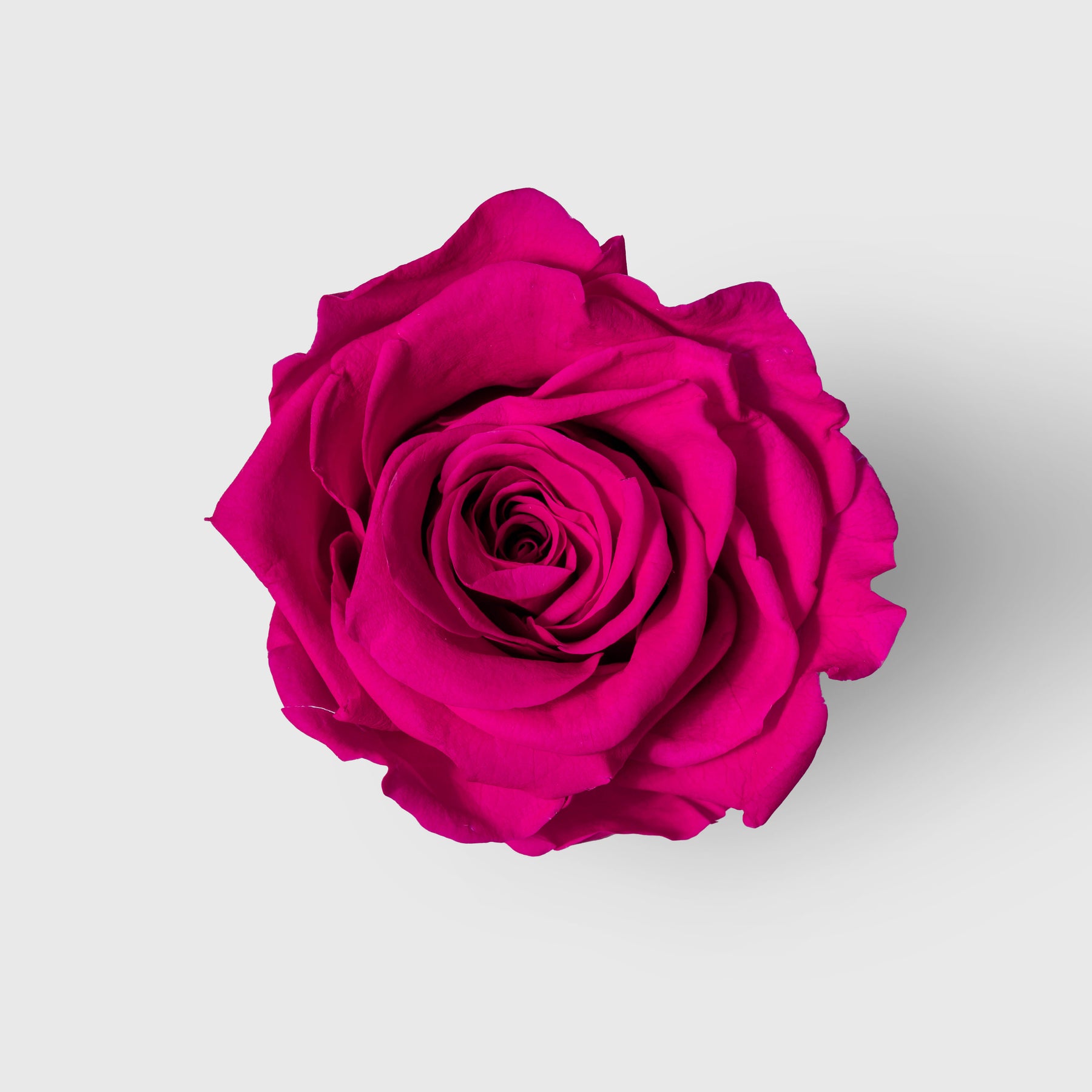 Fleurs De Velours - Spark
