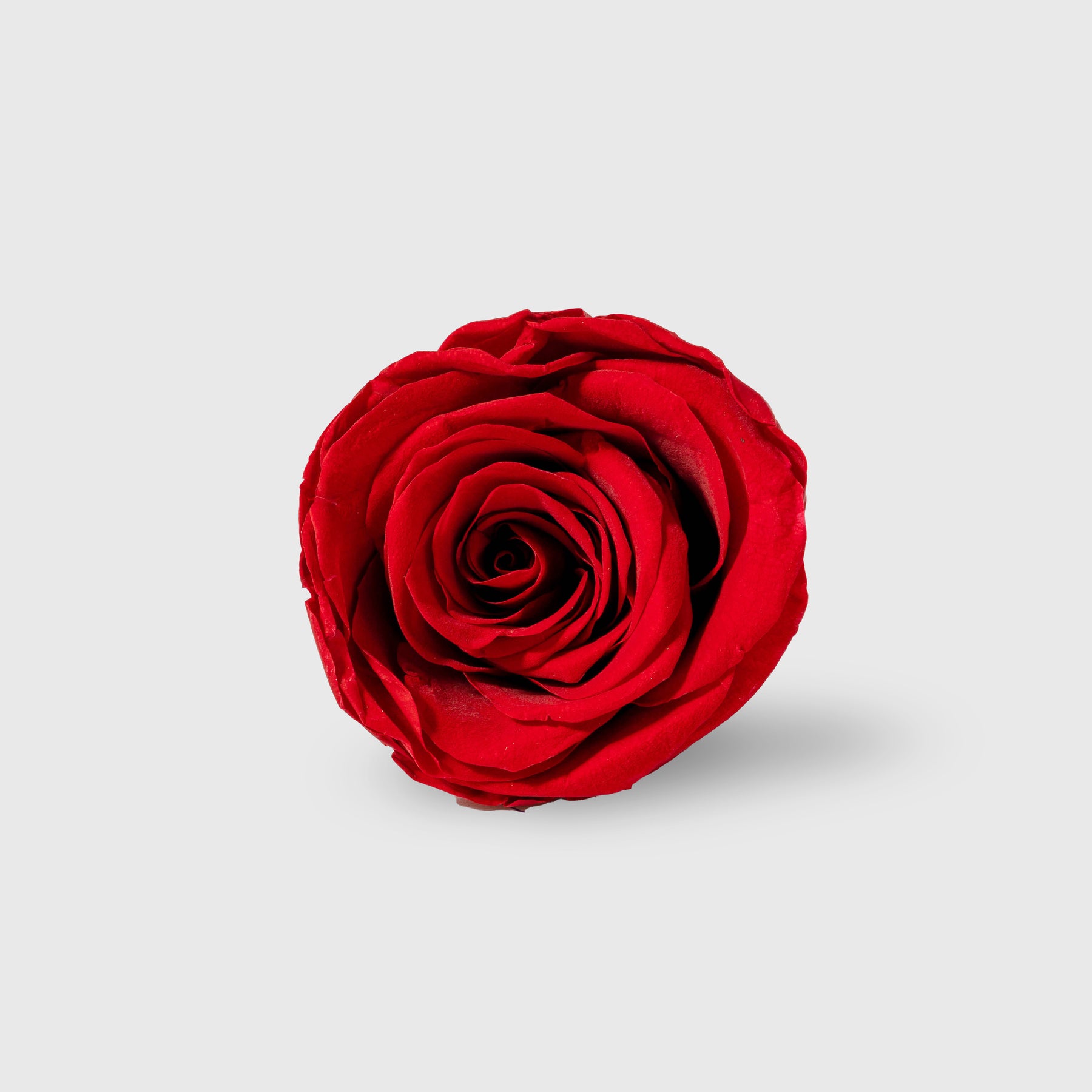 Fleurs De Velours