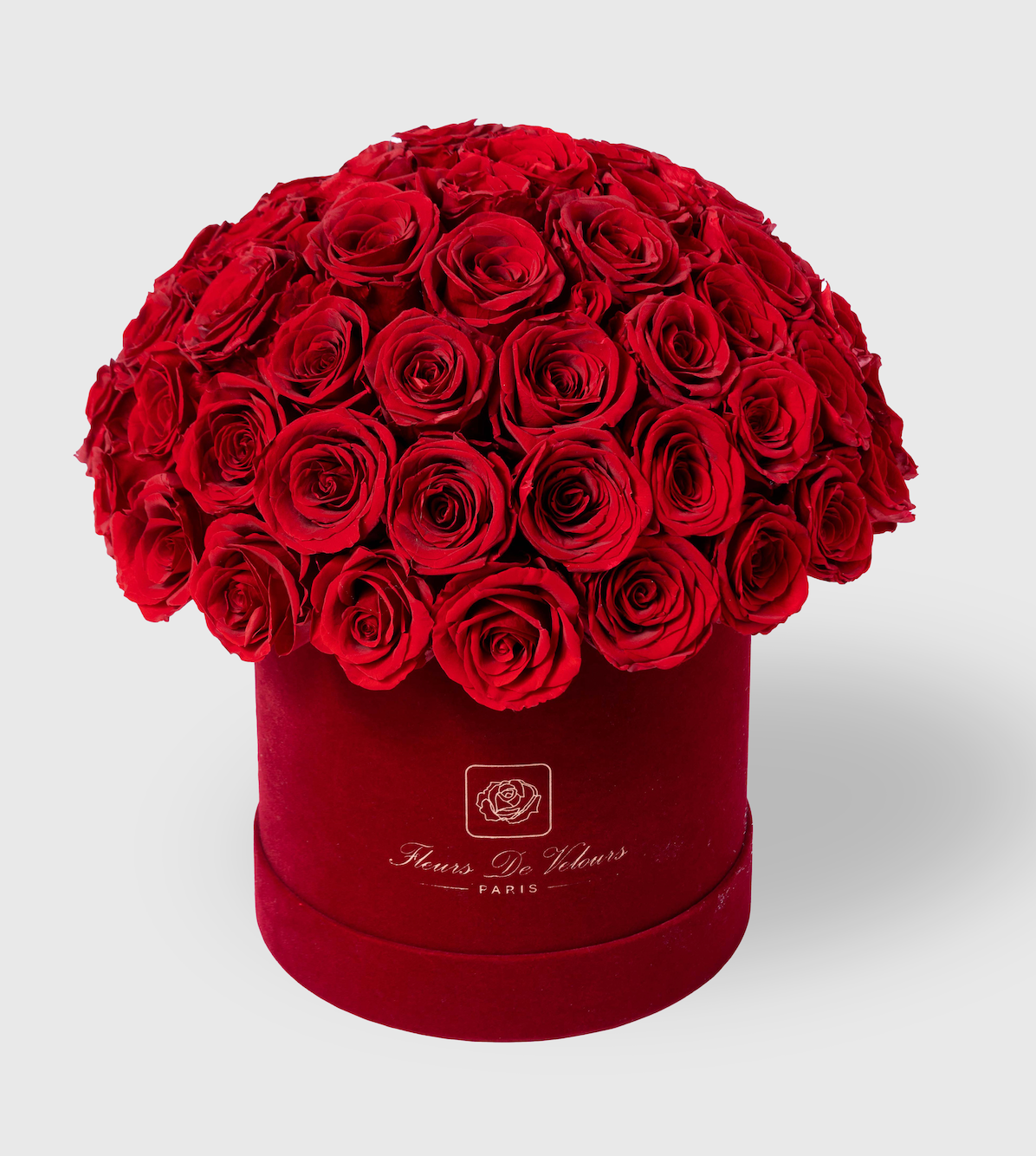 Fleurs de Velours - Entire Dome Love