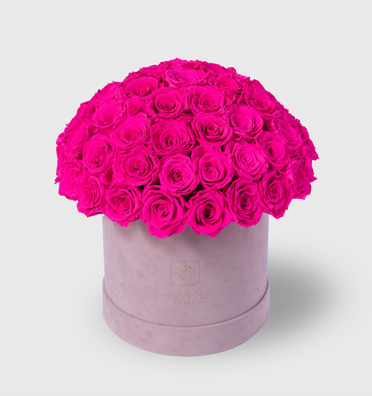Fleurs de Velours - Entire Dome PINK