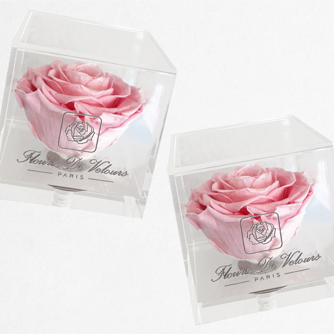 Fleurs De Velours - Plexi