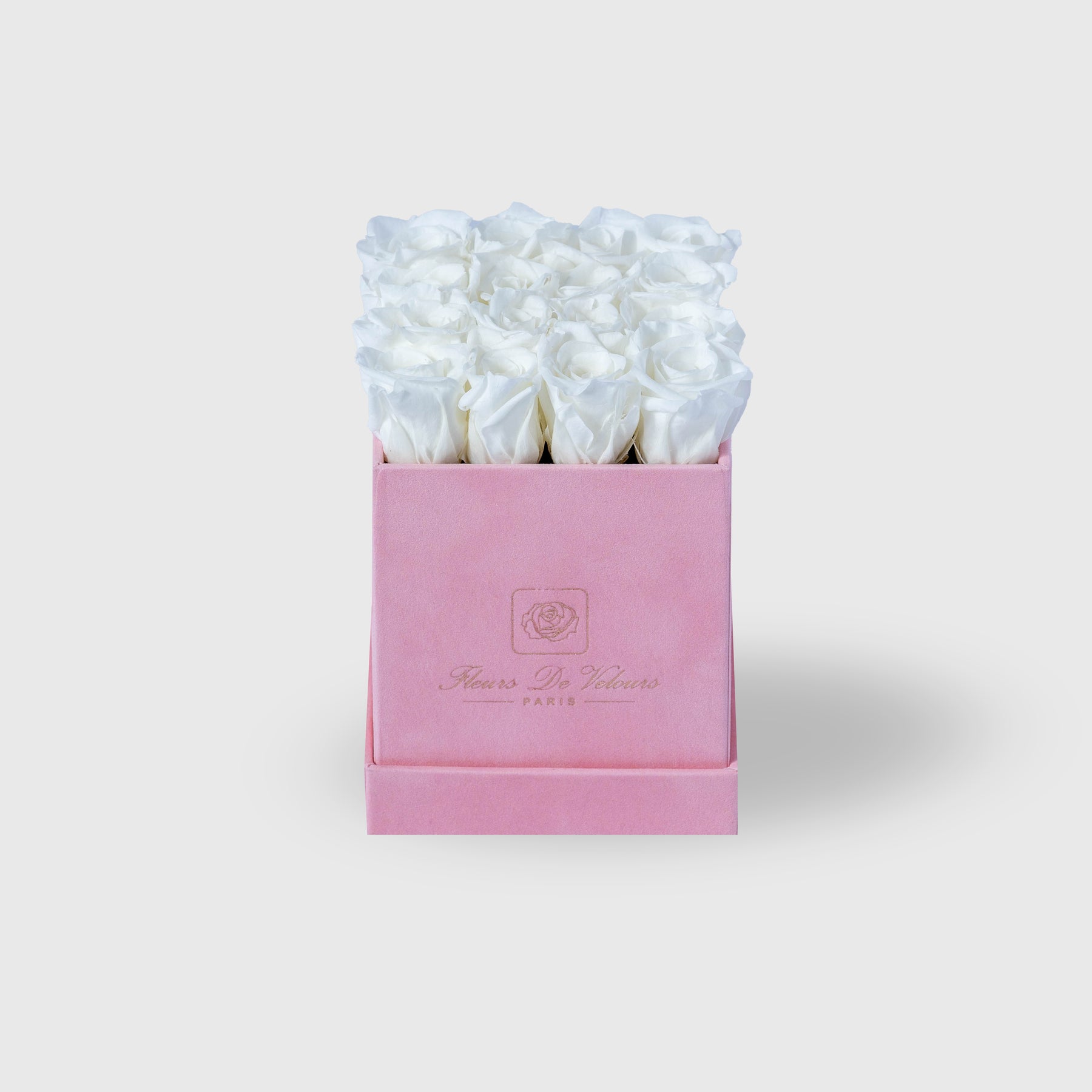 Fleurs de Velours - Spirit Baby Roses