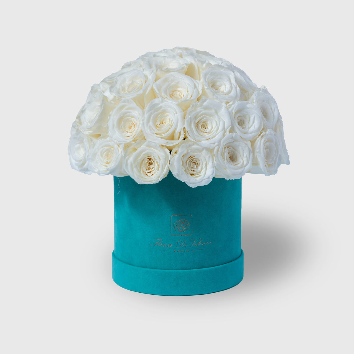 Fleurs de Velours - Entire Dome  Tiffany White