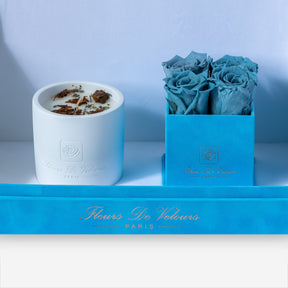 Fleurs De Velours - Signature Set Blue