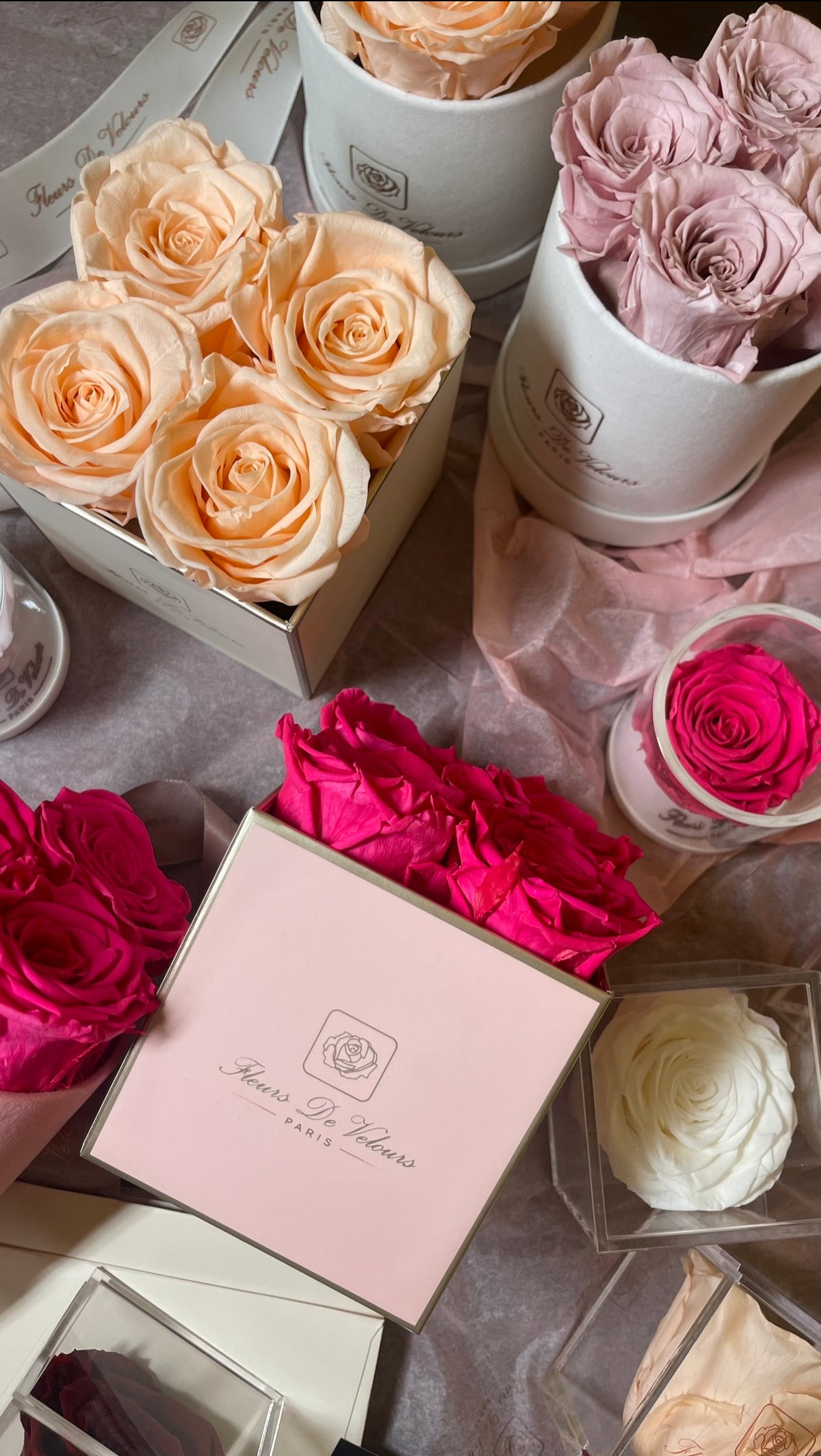 Fleurs De Velours - Elegant Pieces Pink